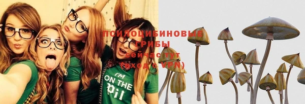spice Богданович