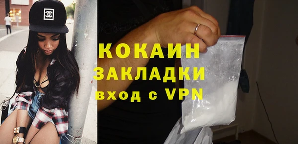 spice Богородицк