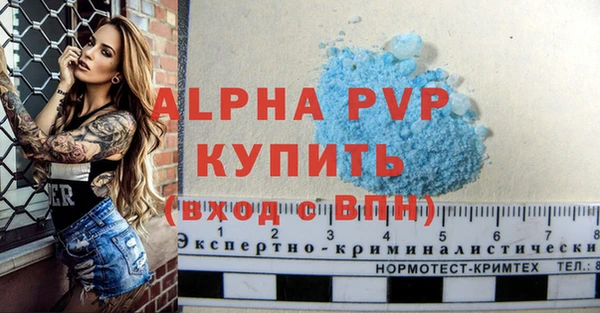 spice Богородицк