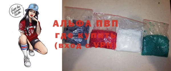 spice Богданович