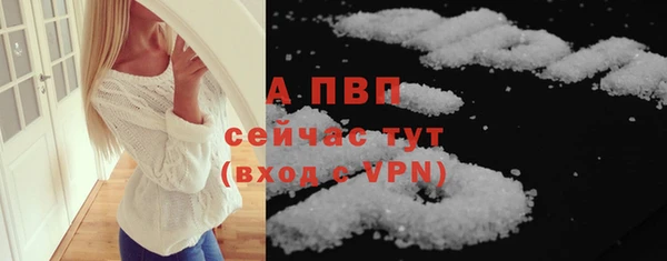 spice Богородицк