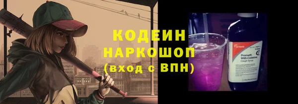 spice Богородицк