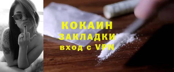 spice Богородицк