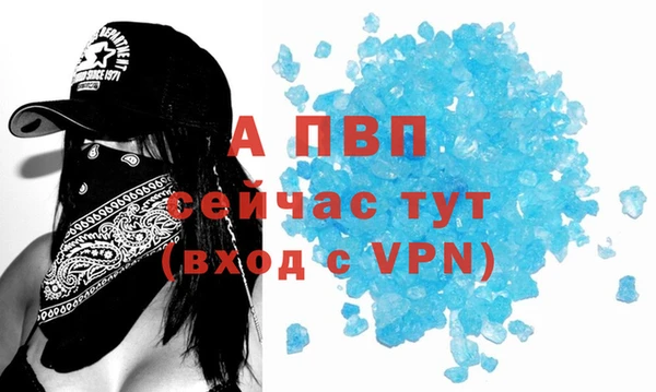 spice Богданович