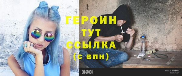 spice Богородицк