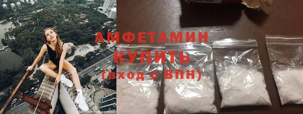 spice Богородицк