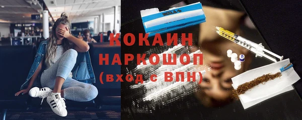 spice Богородицк